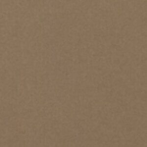 Meet your Posher, Ashlynn